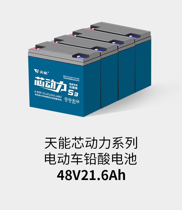 vwin德赢AC米兰相助电池48v20ah