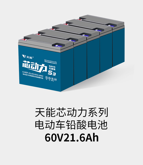 vwin德赢AC米兰相助电池60v20ah