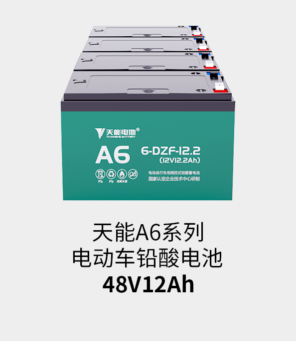 vwin德赢AC米兰相助电池48v12ah