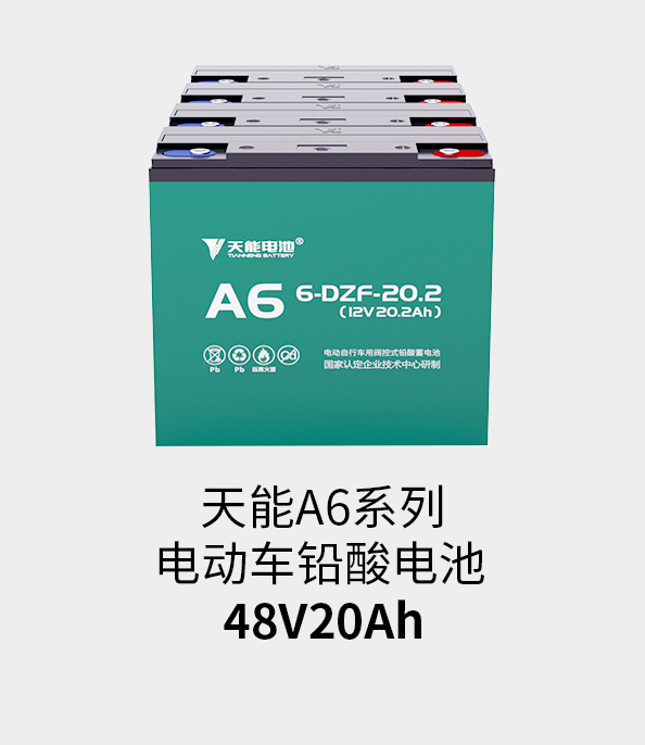 vwin德赢AC米兰相助电池48v20ah