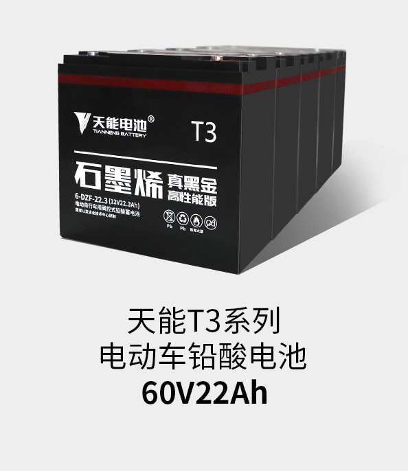 vwin德赢AC米兰相助T3系列60v22ah